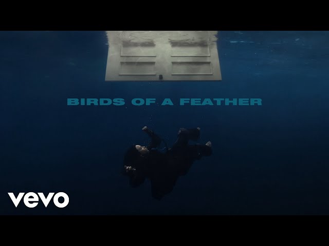 Birds of a Feather by Billie Eilish MP3 Download